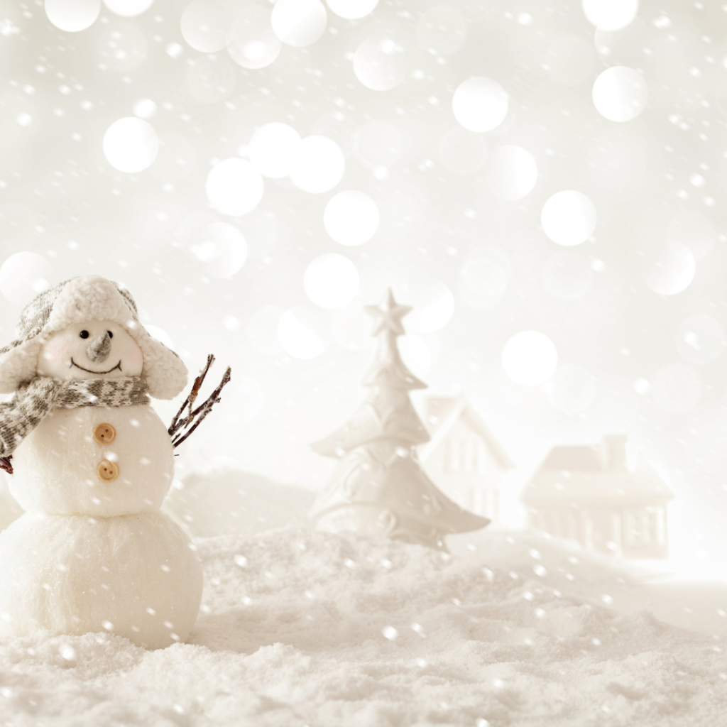 Imagen destacada para un blog sobre catering gourmet navideño
